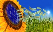 solar power sunflower graphic