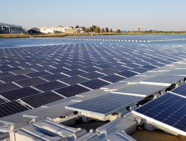 close-up floating solar array on irrigation pond | Salad Cosmo
