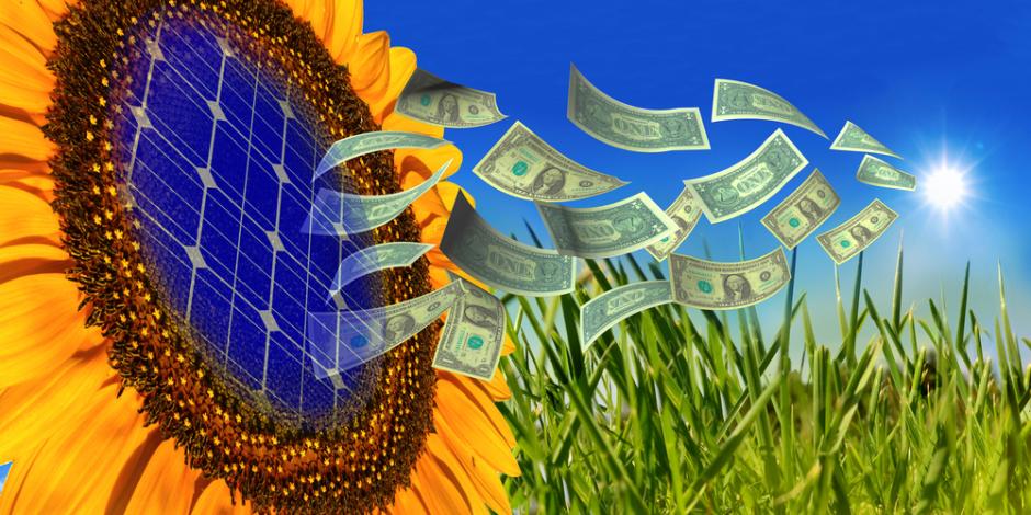 solar power sunflower graphic